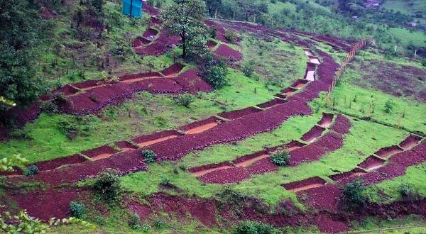 Contour Trenching