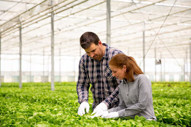 Sustainable Farming Training Program
