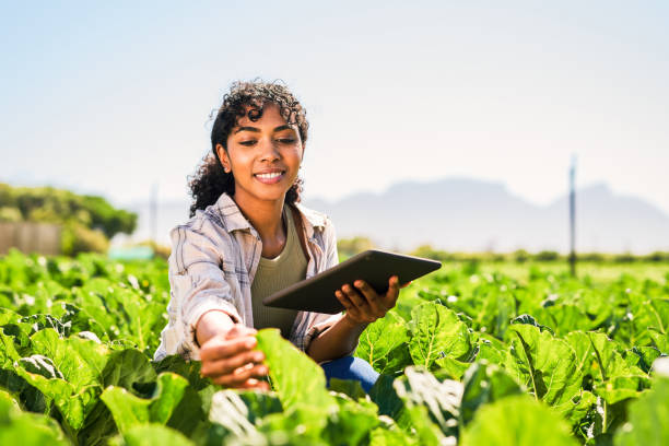 Sustainable Agriculture Programs