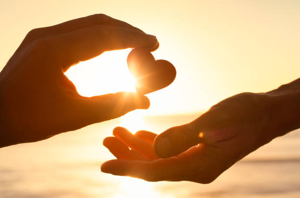 Hands giving a donation