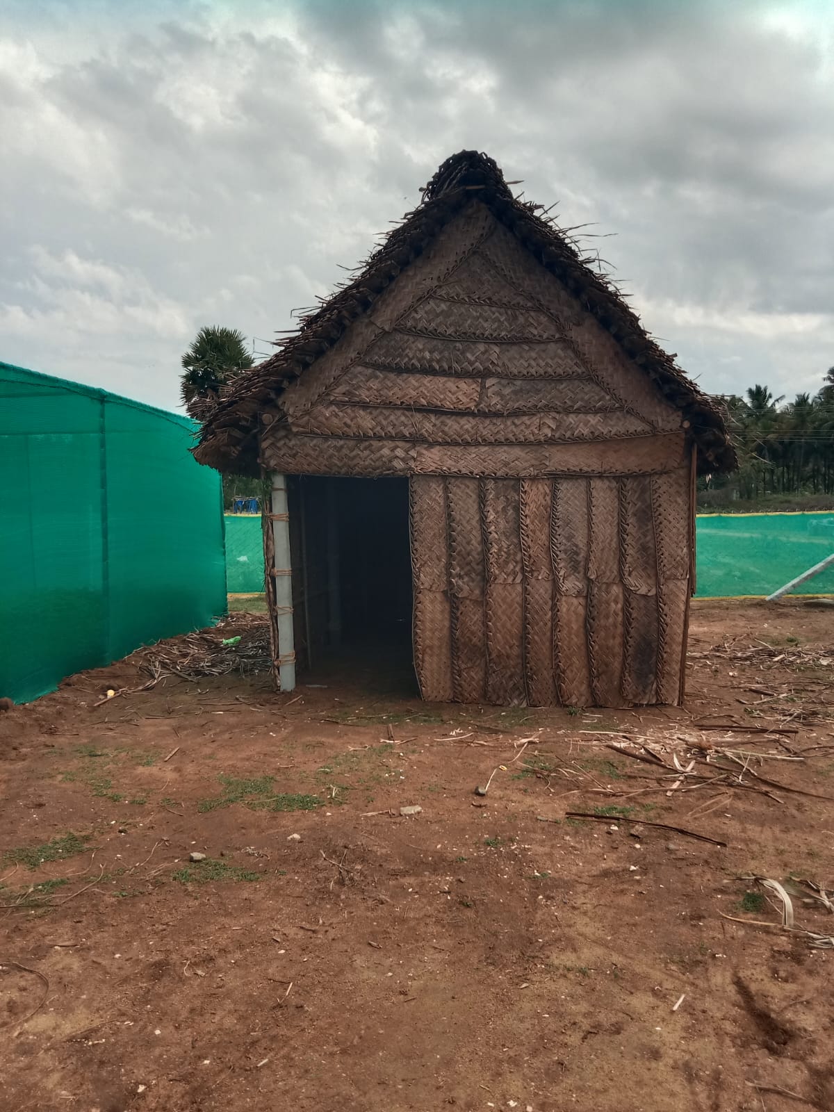 Nuresery activities in dindigul, ISSAI NGO.