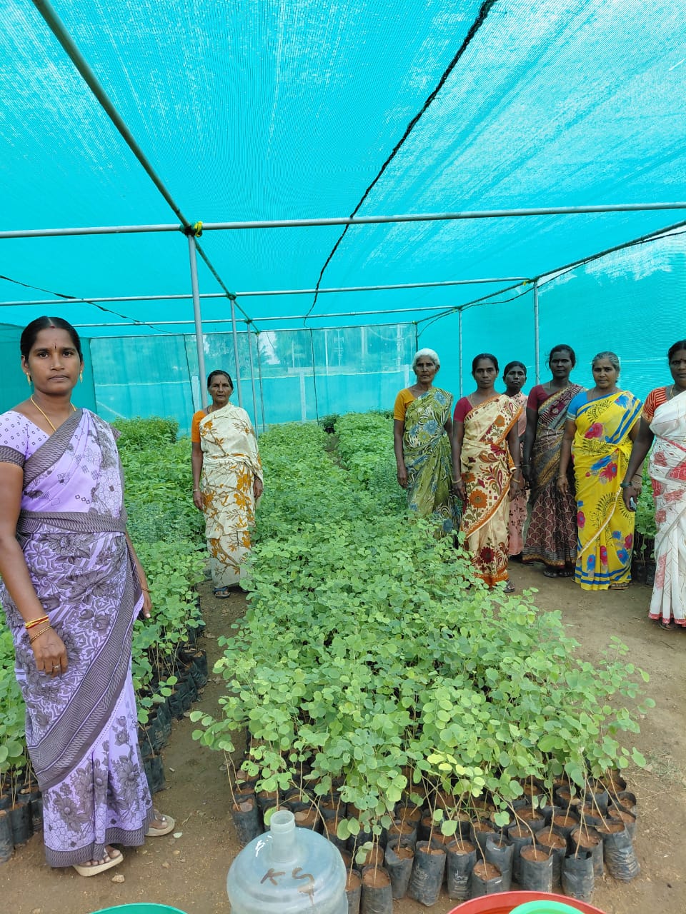 Nuresery activities in dindigul, ISSAI NGO.