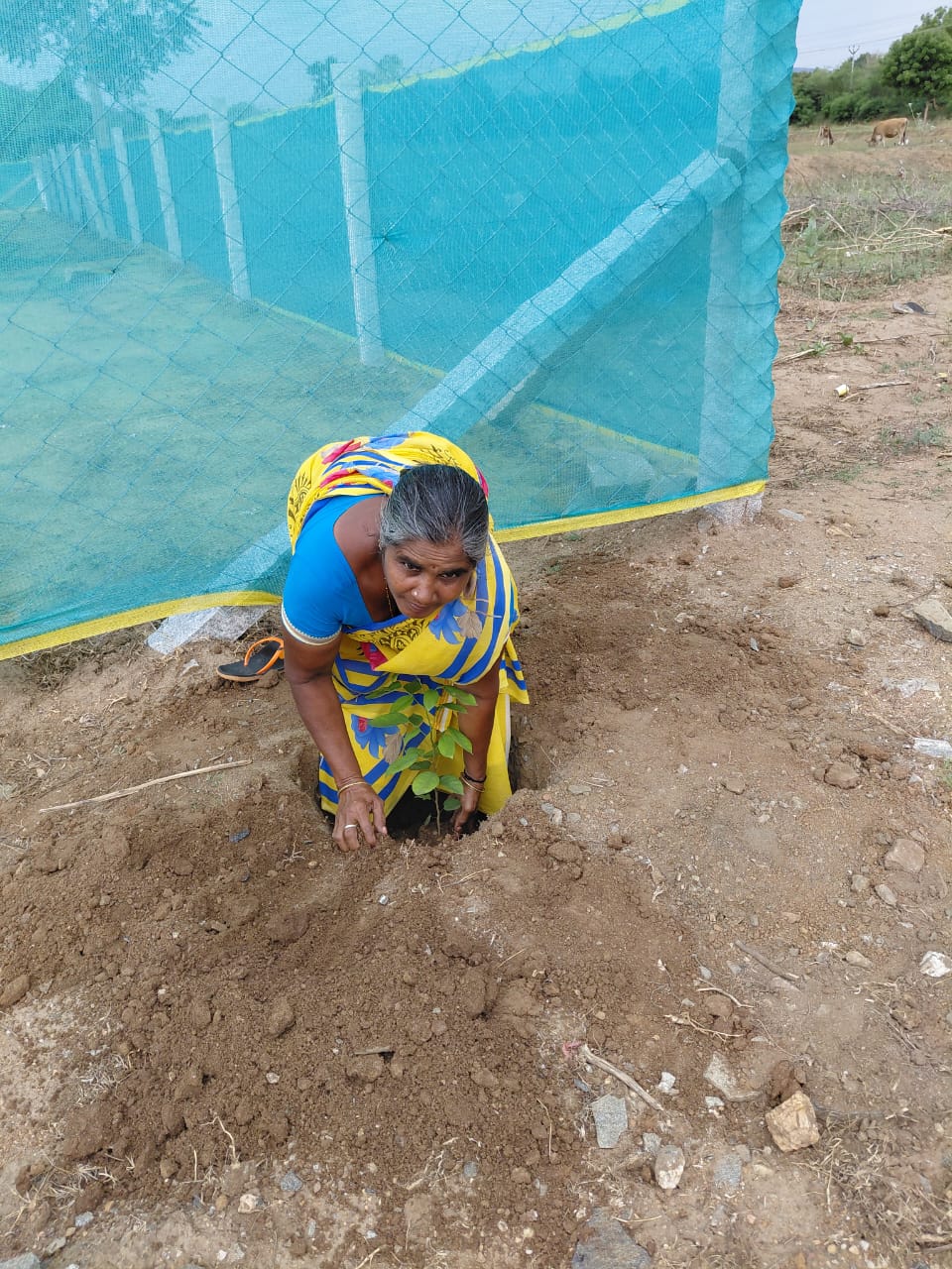 Nuresery activities in dindigul, ISSAI NGO.