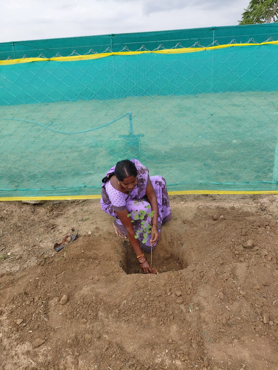 Nuresery activities in dindigul, ISSAI NGO.