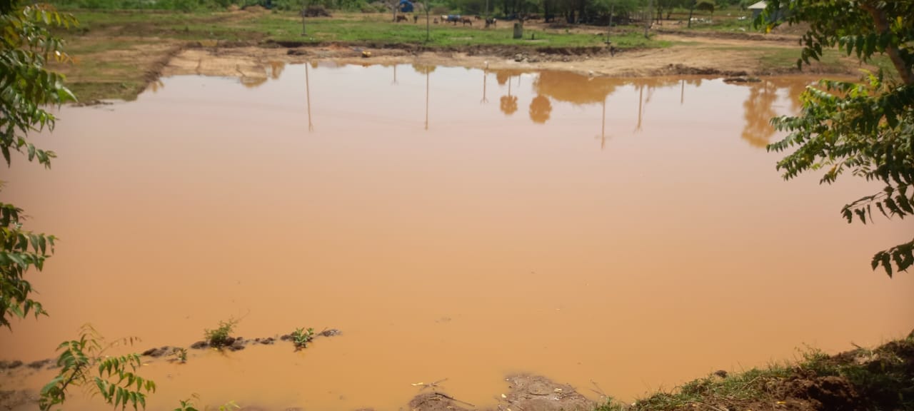 Watershed activities in dindigul, ISSAI NGO