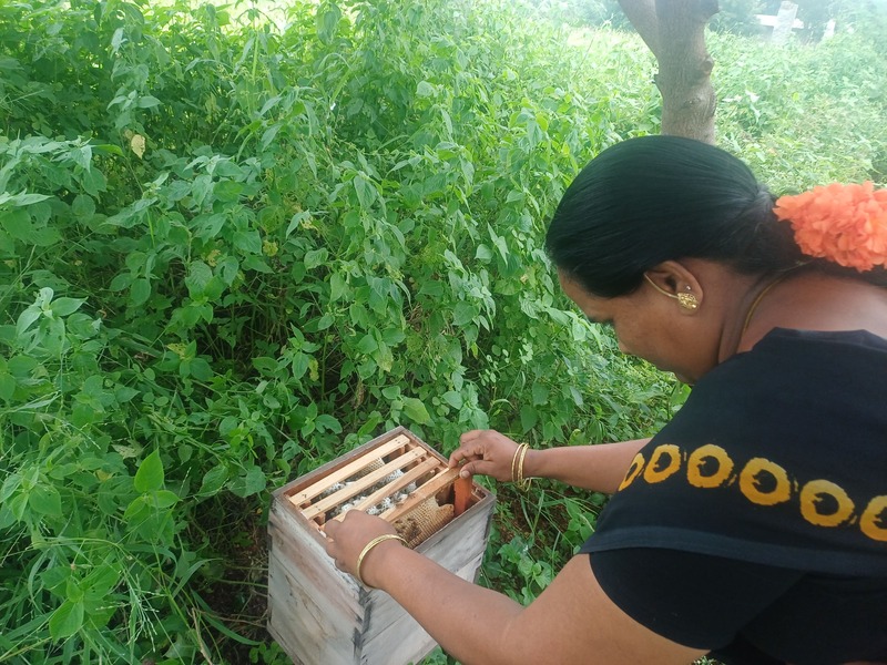 Women Empowerment and Self Hand Group activities in dindigul, ISSAI NGO.